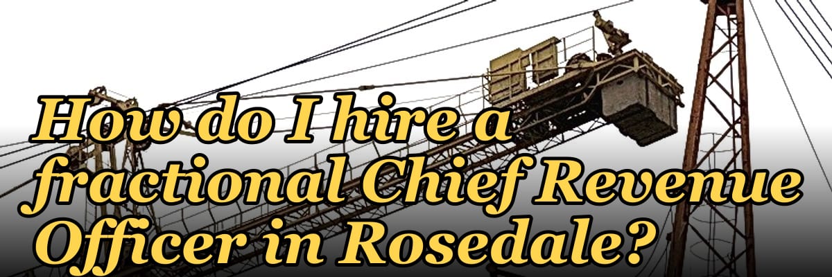 How do I hire a fractional Chief Revenue Officer in Rosedale?