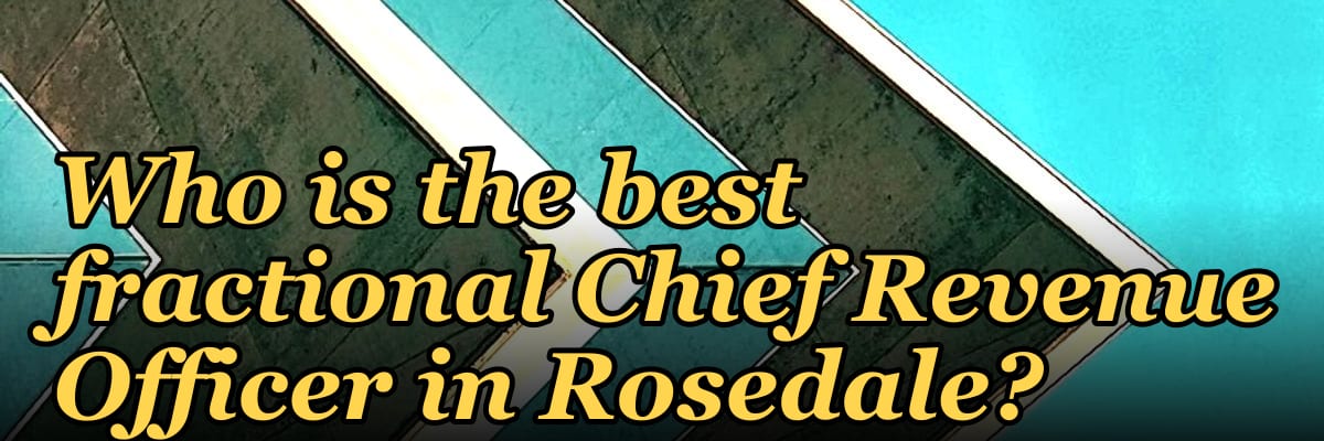 Who is the best fractional Chief Revenue Officer in Rosedale?