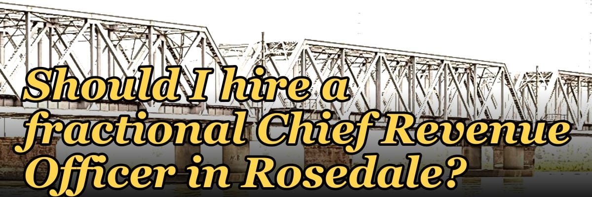 Should I hire a fractional Chief Revenue Officer in Rosedale?