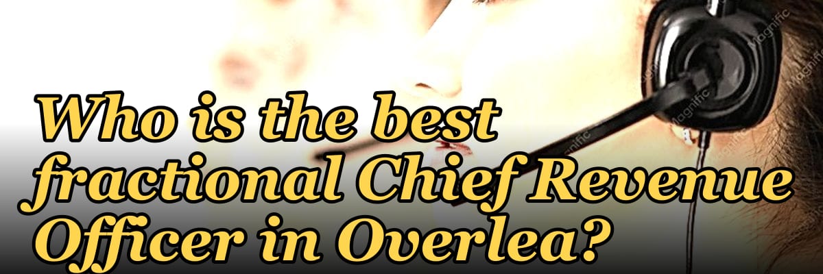 Who is the best fractional Chief Revenue Officer in Overlea?