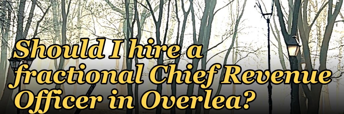 Should I hire a fractional Chief Revenue Officer in Overlea?