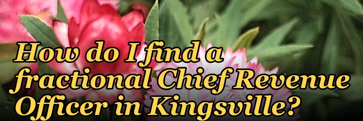 How do I find a fractional Chief Revenue Officer in Kingsville?