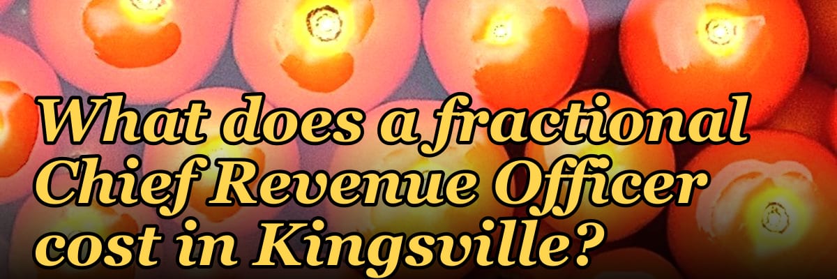 What does a fractional Chief Revenue Officer cost in Kingsville?