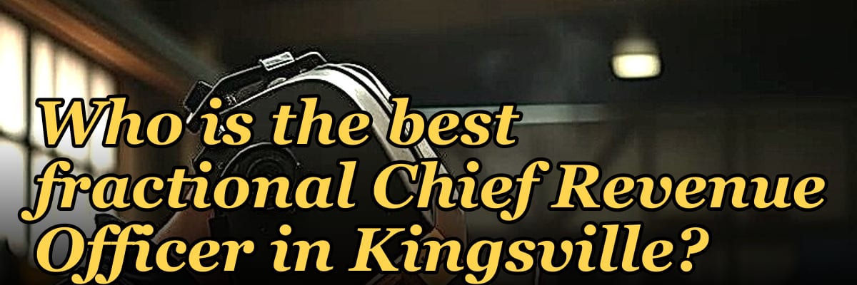 Who is the best fractional Chief Revenue Officer in Kingsville?