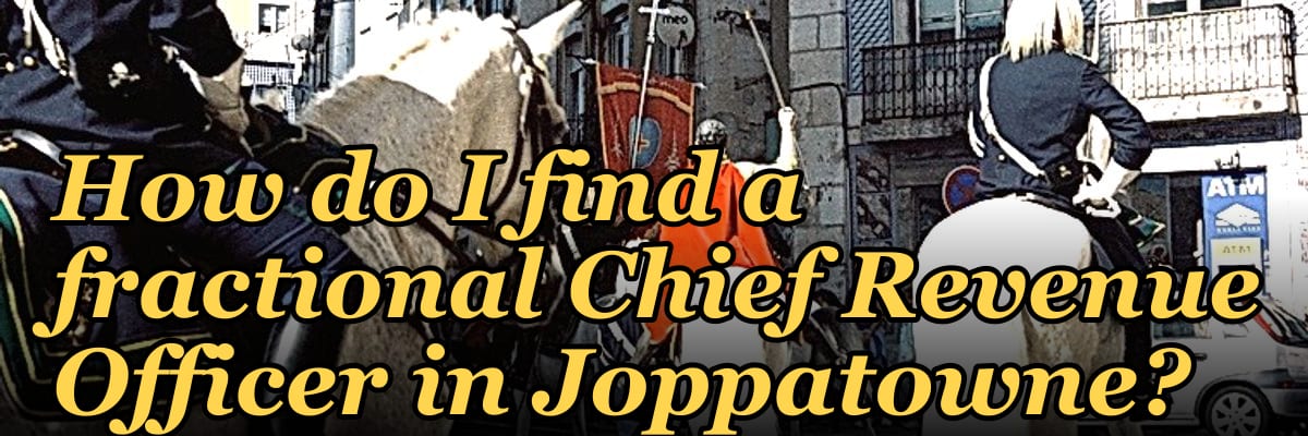 How do I find a fractional Chief Revenue Officer in Joppatowne?