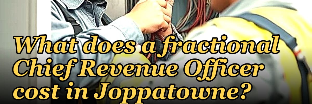 What does a fractional Chief Revenue Officer cost in Joppatowne?