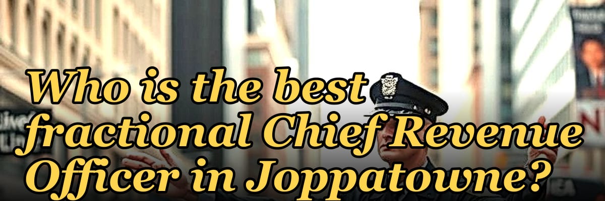Who is the best fractional Chief Revenue Officer in Joppatowne?