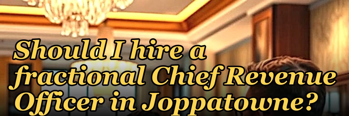 Should I hire a fractional Chief Revenue Officer in Joppatowne?