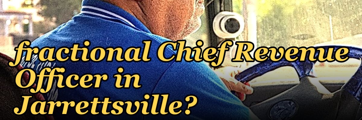 Should I hire a fractional Chief Revenue Officer in Jarrettsville?