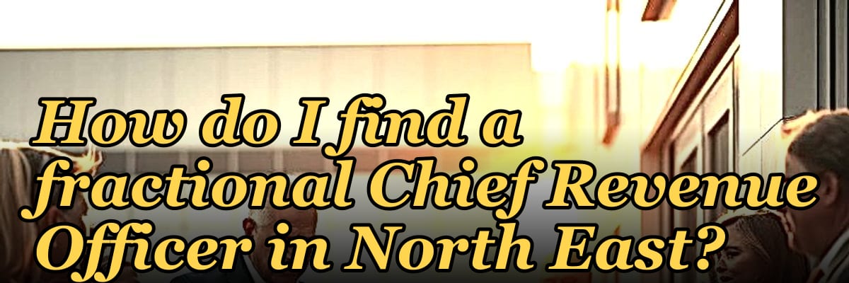 How do I find a fractional Chief Revenue Officer in North East?