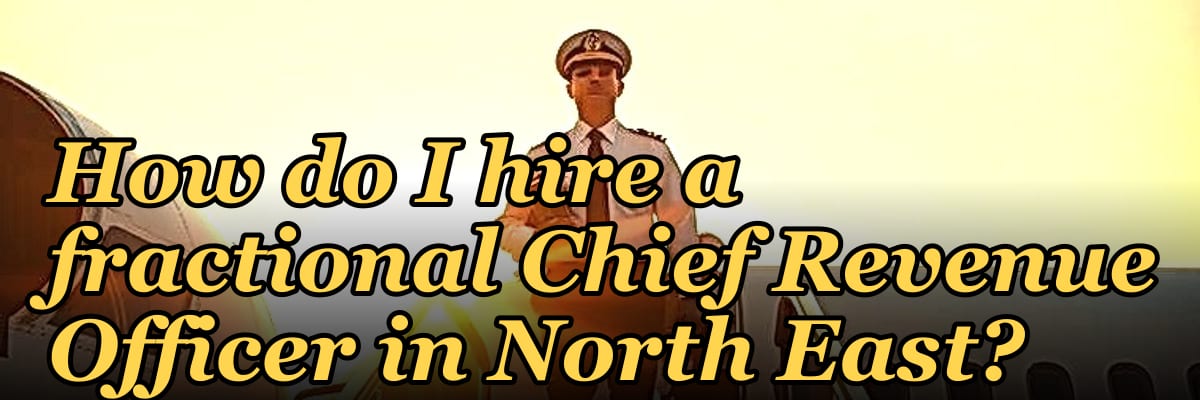 How do I hire a fractional Chief Revenue Officer in North East?