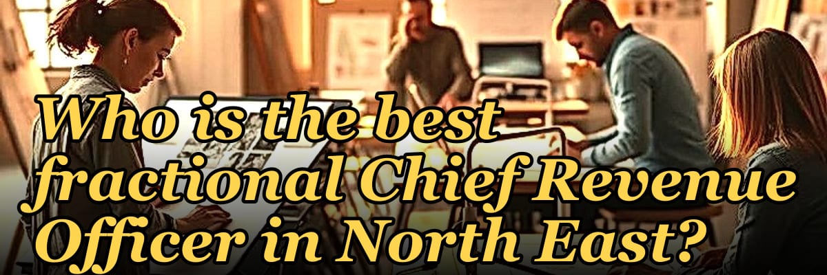 Who is the best fractional Chief Revenue Officer in North East?