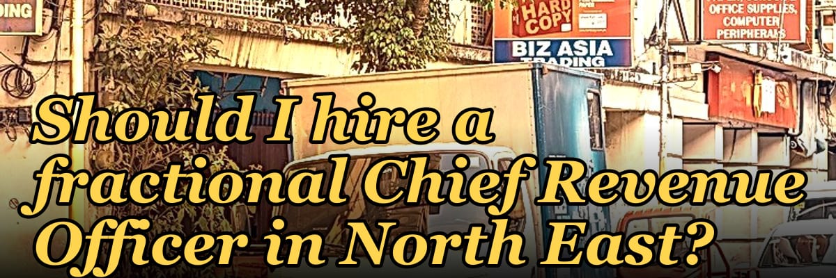 Should I hire a fractional Chief Revenue Officer in North East?