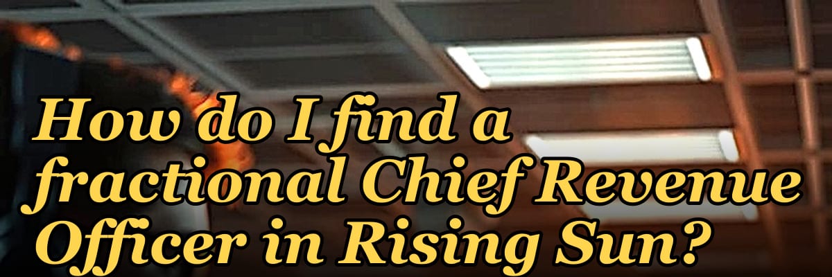 How do I find a fractional Chief Revenue Officer in Rising Sun?
