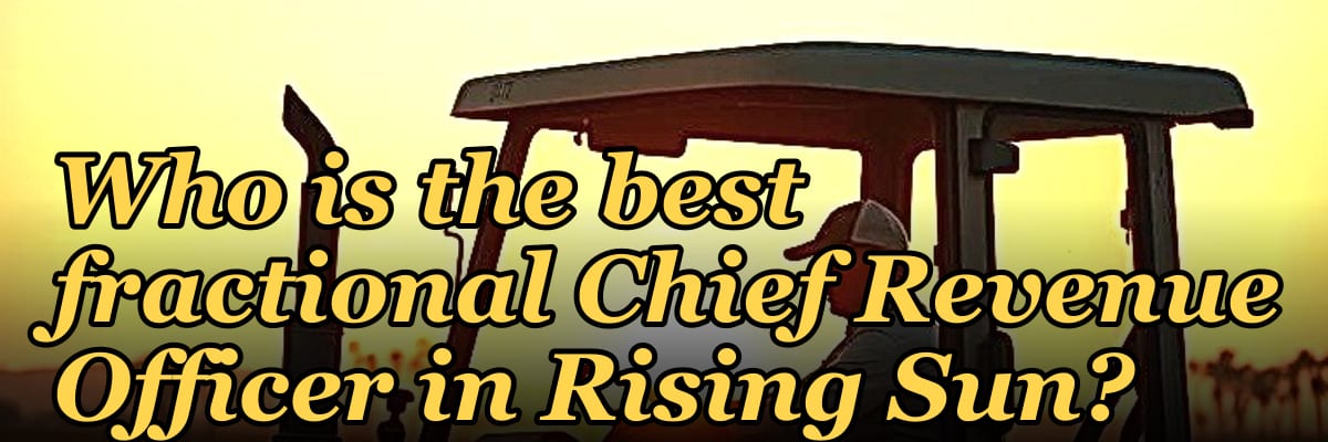 Who is the best fractional Chief Revenue Officer in Rising Sun?