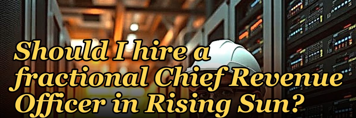 Should I hire a fractional Chief Revenue Officer in Rising Sun?