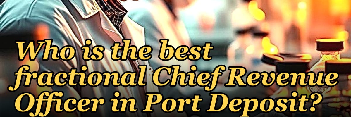 Who is the best fractional Chief Revenue Officer in Port Deposit?
