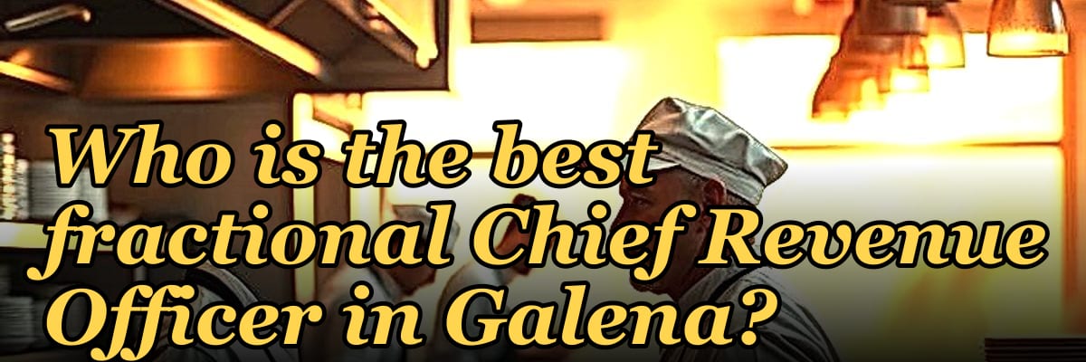 Who is the best fractional Chief Revenue Officer in Galena?