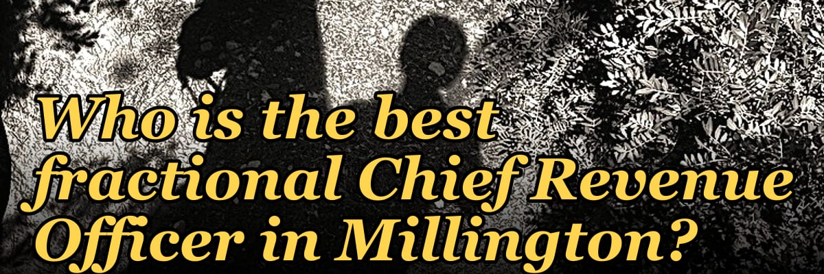 Who is the best fractional Chief Revenue Officer in Millington?