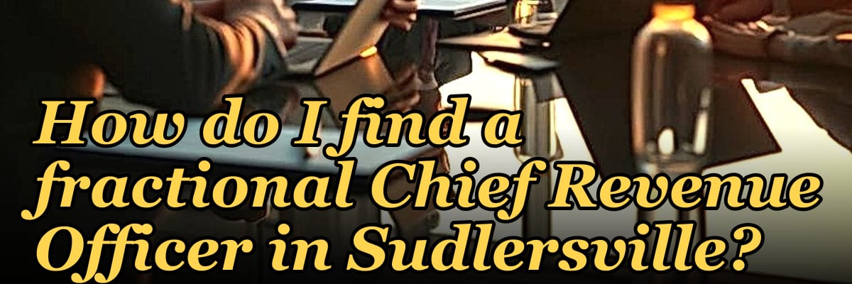 How do I find a fractional Chief Revenue Officer in Sudlersville?