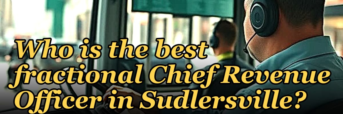 Who is the best fractional Chief Revenue Officer in Sudlersville?