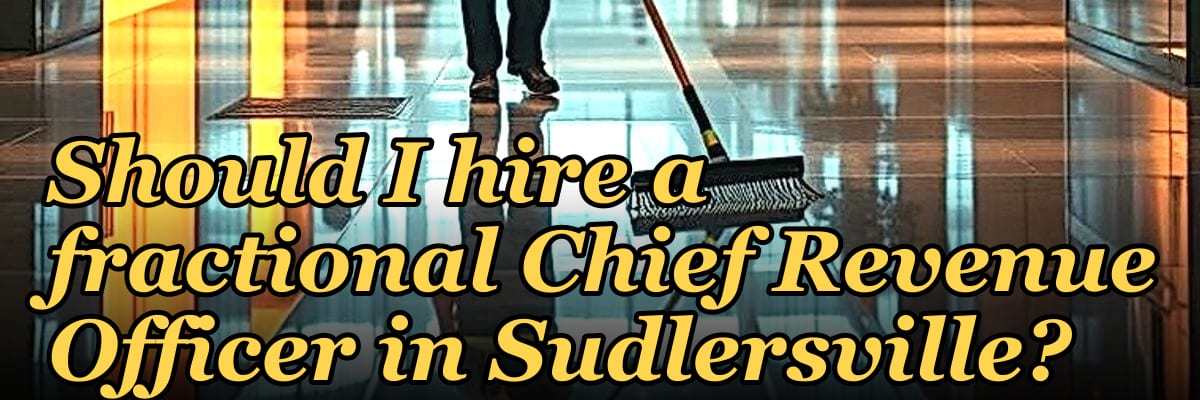 Should I hire a fractional Chief Revenue Officer in Sudlersville?