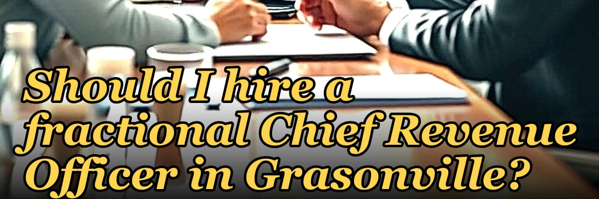 Should I hire a fractional Chief Revenue Officer in Grasonville?