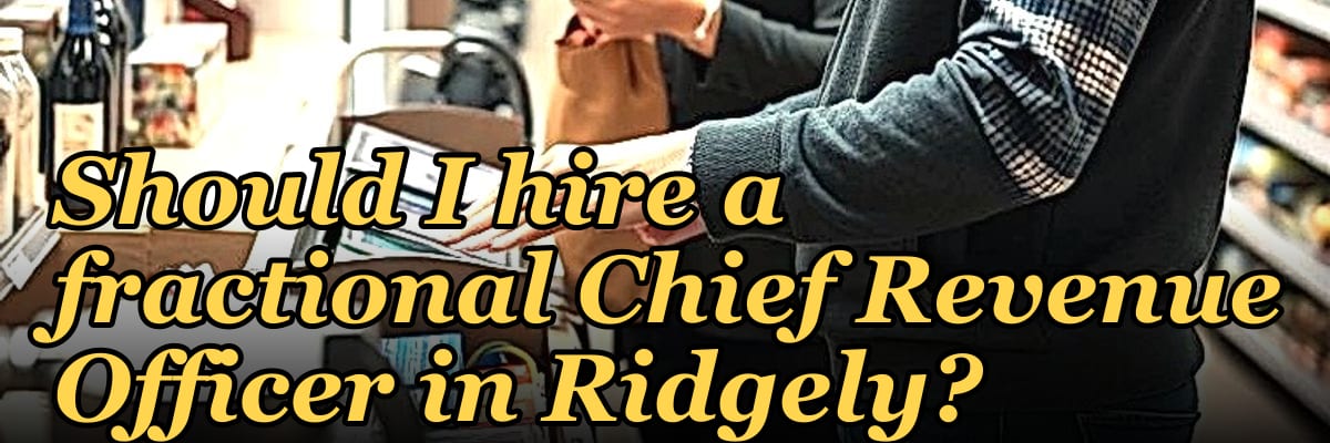 Should I hire a fractional Chief Revenue Officer in Ridgely?