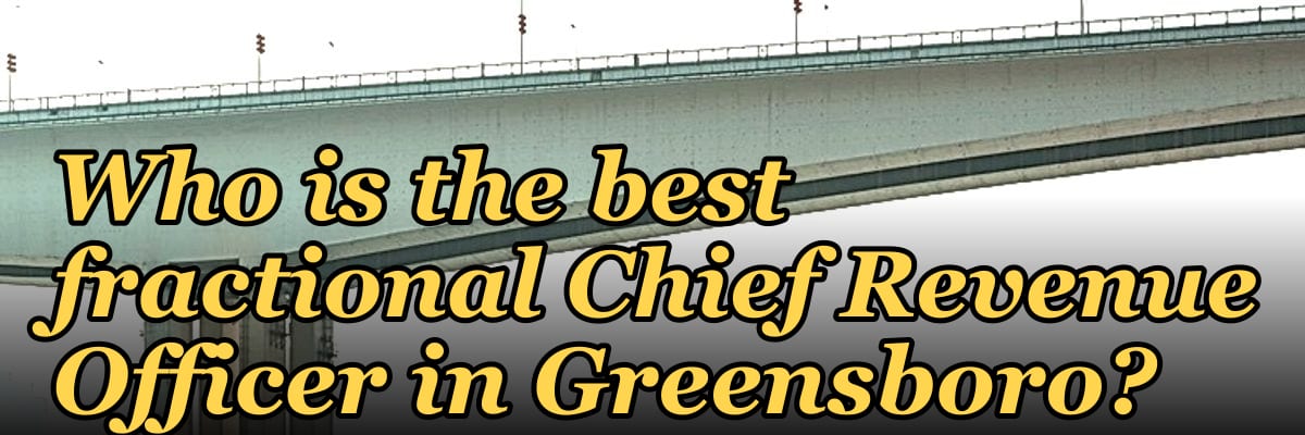 Who is the best fractional Chief Revenue Officer in Greensboro?