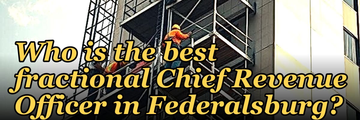 Who is the best fractional Chief Revenue Officer in Federalsburg?