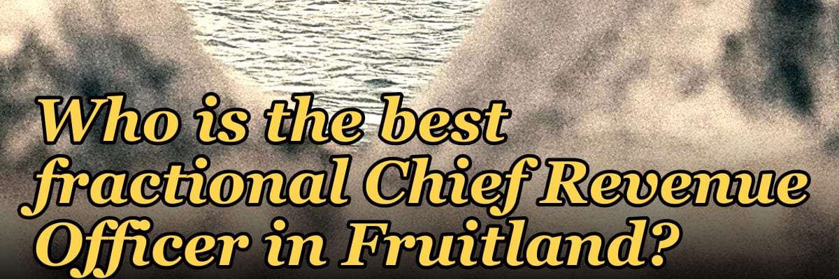 Who is the best fractional Chief Revenue Officer in Fruitland?
