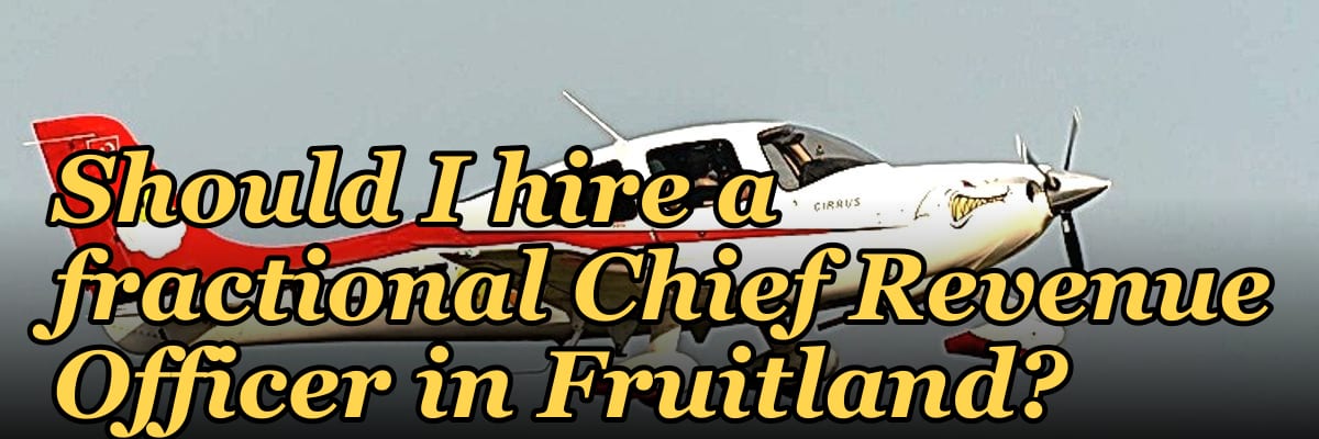 Should I hire a fractional Chief Revenue Officer in Fruitland?