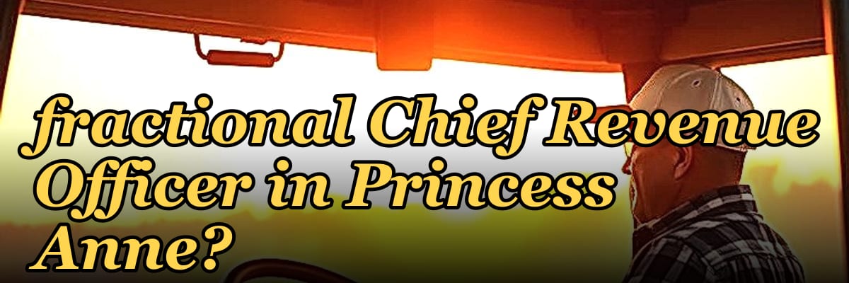How do I find a fractional Chief Revenue Officer in Princess Anne?