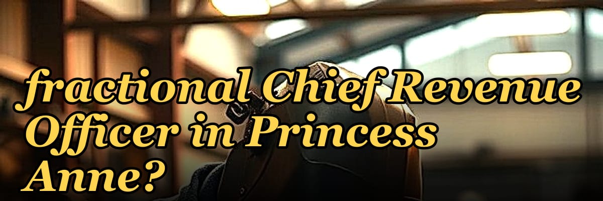 How do I hire a fractional Chief Revenue Officer in Princess Anne?