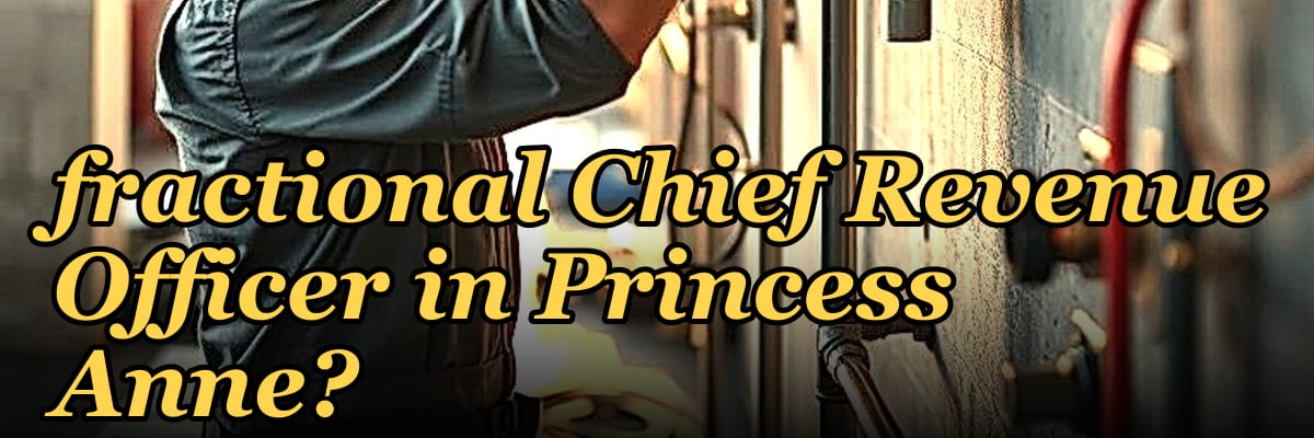 Who is the best fractional Chief Revenue Officer in Princess Anne?