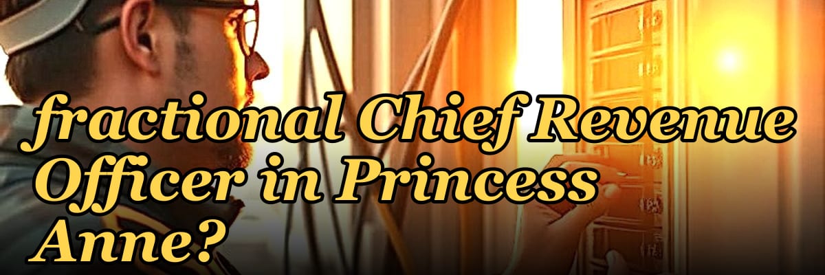 Should I hire a fractional Chief Revenue Officer in Princess Anne?