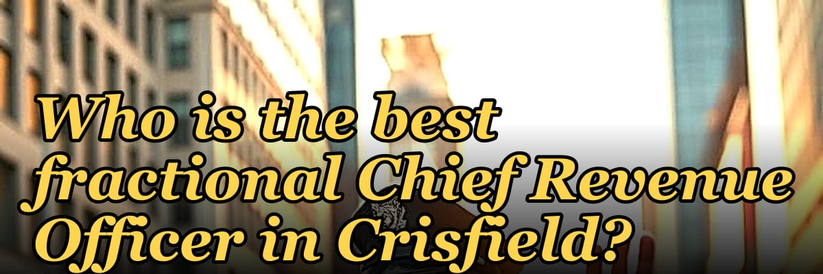 Who is the best fractional Chief Revenue Officer in Crisfield?