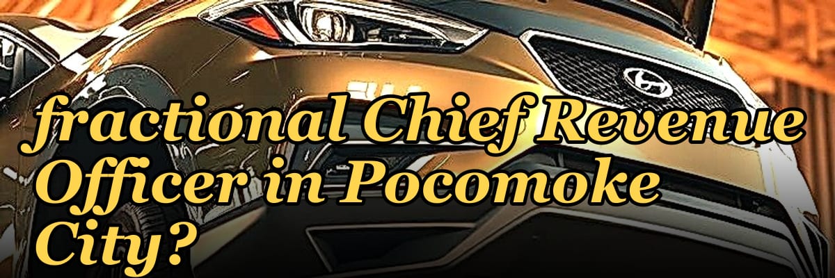 How do I find a fractional Chief Revenue Officer in Pocomoke City?