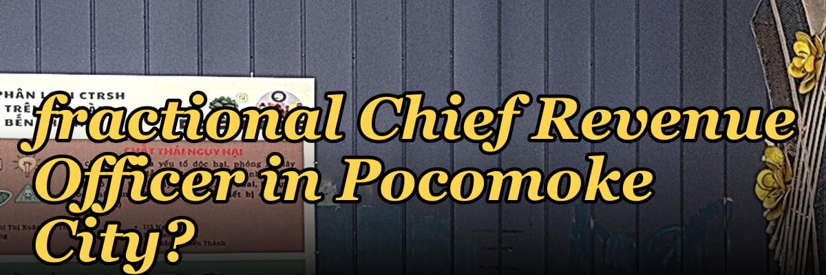 How do I hire a fractional Chief Revenue Officer in Pocomoke City?