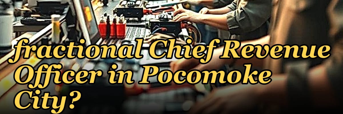 Who is the best fractional Chief Revenue Officer in Pocomoke City?