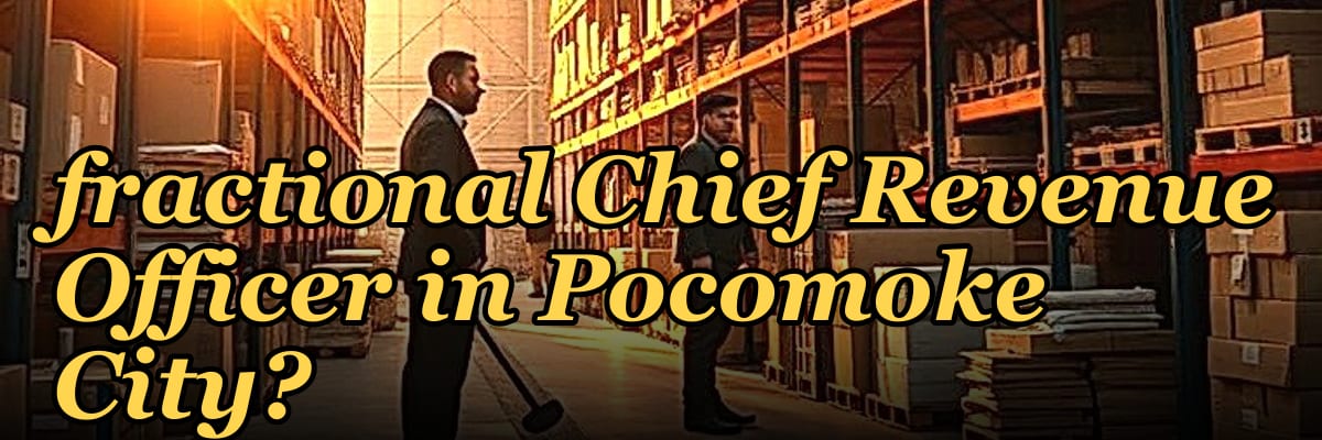 Should I hire a fractional Chief Revenue Officer in Pocomoke City?