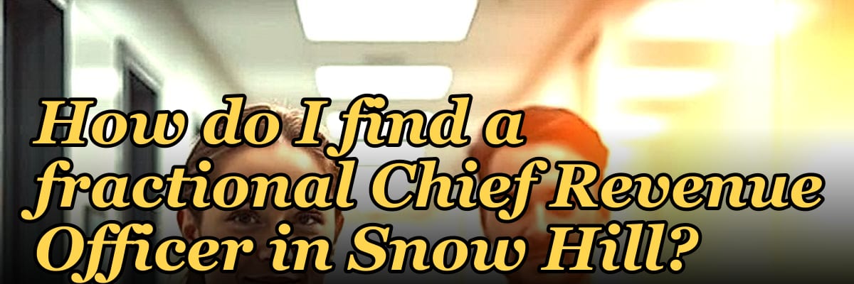 How do I find a fractional Chief Revenue Officer in Snow Hill?