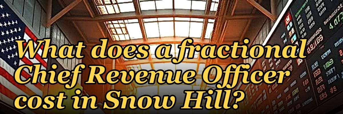What does a fractional Chief Revenue Officer cost in Snow Hill?