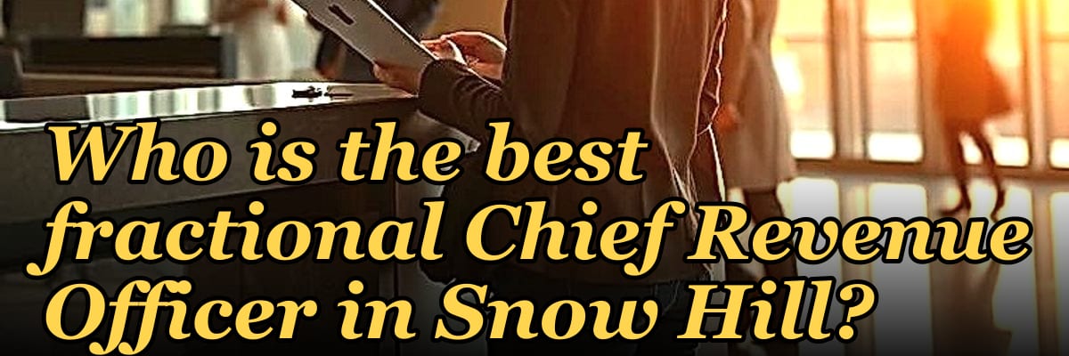Who is the best fractional Chief Revenue Officer in Snow Hill?