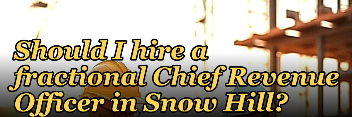 Should I hire a fractional Chief Revenue Officer in Snow Hill?