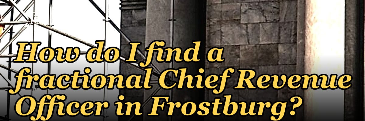 How do I find a fractional Chief Revenue Officer in Frostburg?