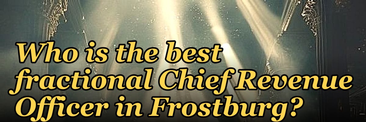 Who is the best fractional Chief Revenue Officer in Frostburg?