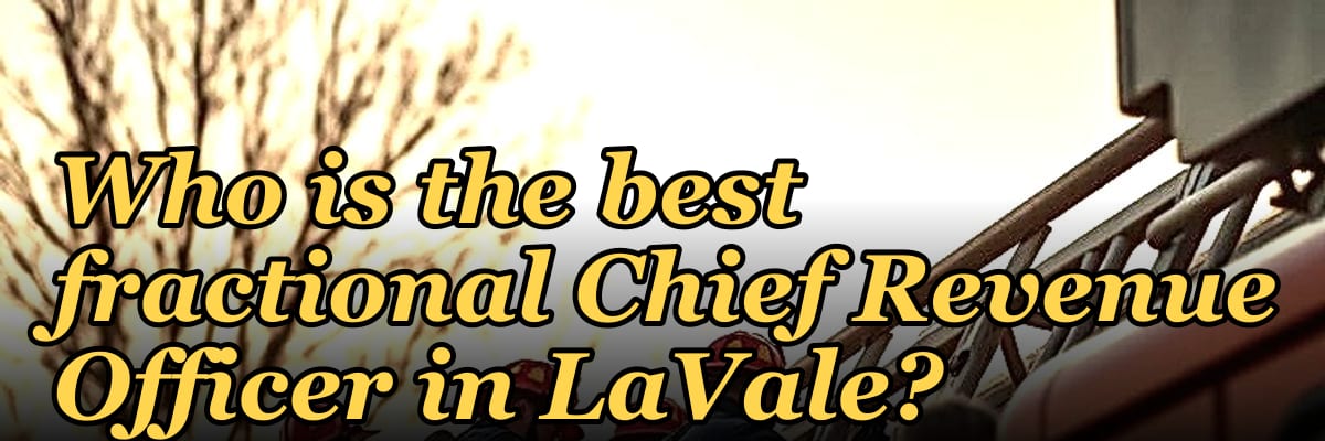 Who is the best fractional Chief Revenue Officer in LaVale?