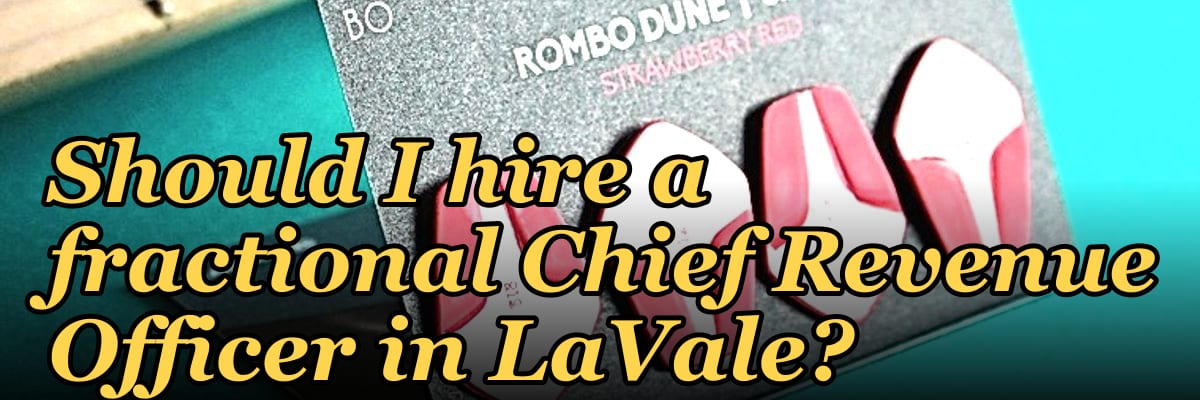 Should I hire a fractional Chief Revenue Officer in LaVale?