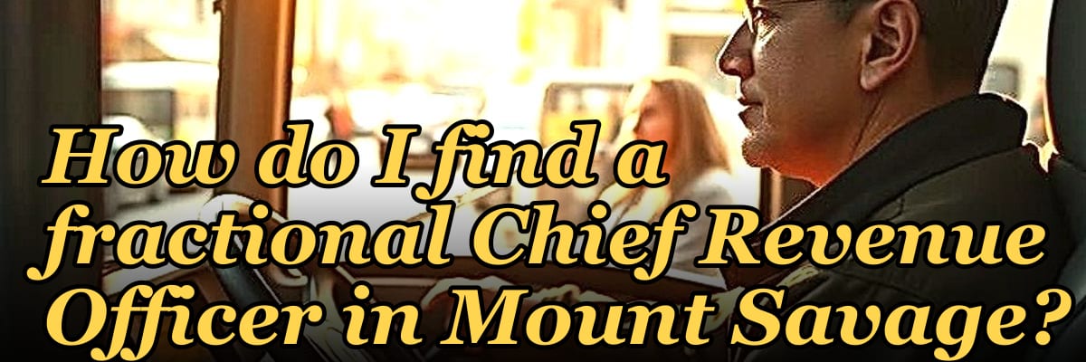 How do I find a fractional Chief Revenue Officer in Mount Savage?